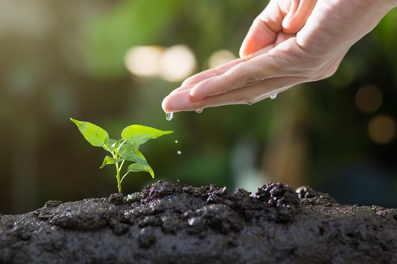 INTERPRETACIÓN Y EDUCACIÓN AMBIENTAL
